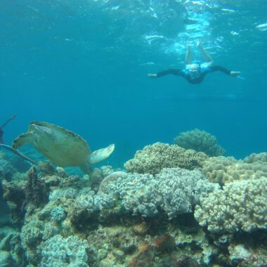 guided snorkeling tours