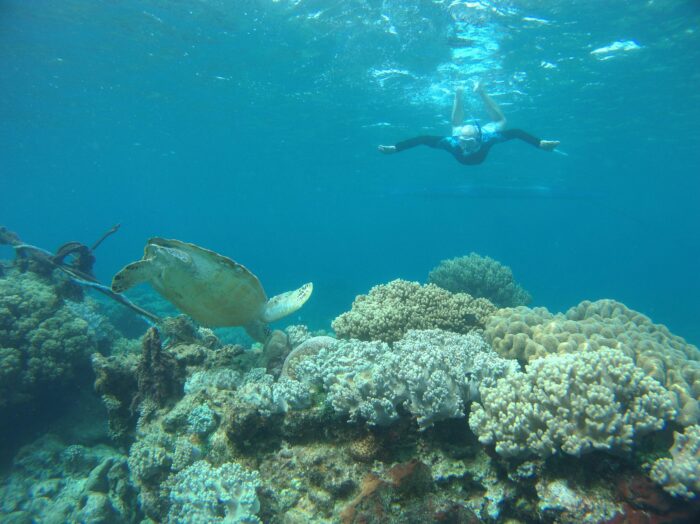 guided snorkeling tours